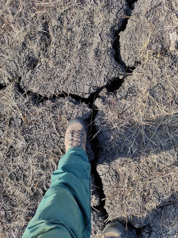 27. kép A 2022-es nagy aszálykor így néztek ki a mezőségi mocsarak.jpg
